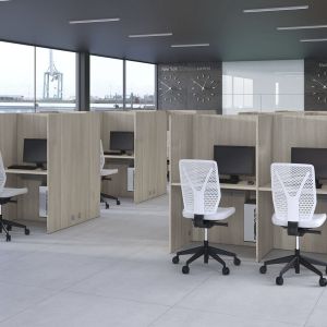 CALL CENTER individual